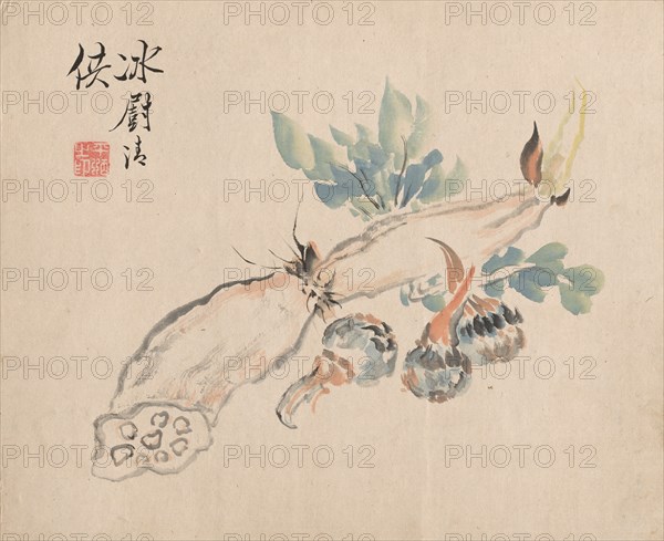 Lotus Root and Adder's Tongue. Creator: Tsubaki Chinzan (Japanese, 1801-1854).