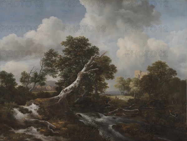 Low Waterfall in a Wooded Landscape with a Dead Beech Tree, c. 1660-1670. Creator: Jacob van Ruisdael (Dutch, 1628/29-1682).