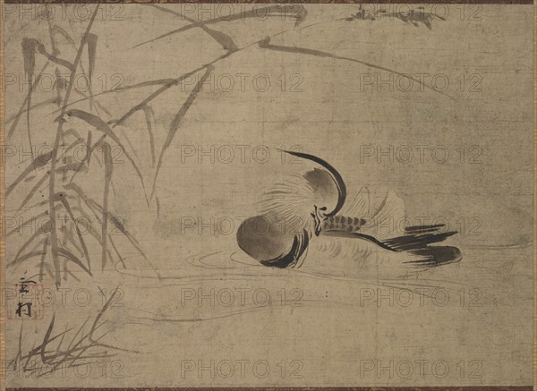 Mandarin Duck, 1500s. Creator: Sesson Sh?kei (Japanese, 1504-1589).