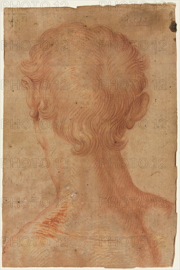 Man's Head from the Back, 16th century?. Creator: Unknown.
