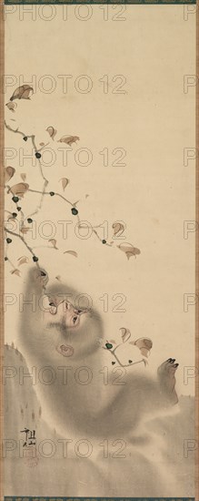 Monkey Hanging on to a Branch, 1780. Creator: Mori Sosen (Japanese, 1747-1821).