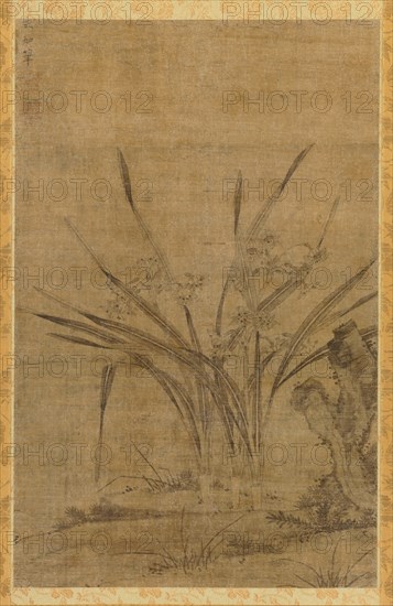 Narcissus and Rocks, 1368-1644. Creator: Lu Tianru (Chinese, first half of 1400s).