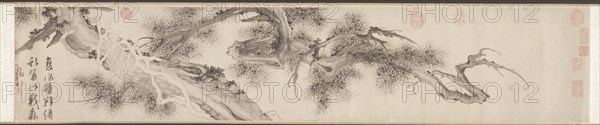 Old Pine Tree, late 1530s. Creator: Wen Zhengming (Chinese, 1470-1559).