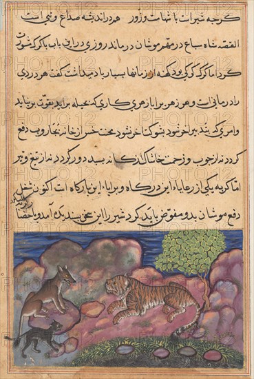 Page from Tales of a Parrot (Tuti-nama): Fifteenth night: The wolf advises the lion..., 1558-1560. Creator: Unknown.