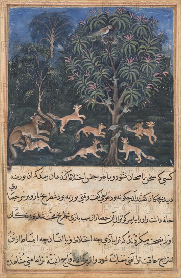 Page from Tales of a Parrot (Tuti-nama): Fifth night: The parrot mother cautions..., c. 1560. Creator: Daswanth (Indian).