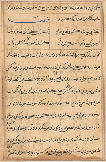 Page from Tales of a Parrot (Tuti-nama): text page, c. 1560. Creator: Unknown.