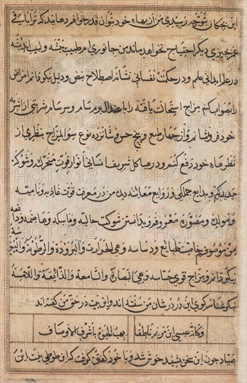 Page from Tales of a Parrot (Tuti-nama): text page, c. 1560. Creator: Basavana (Indian, active c. 1560-1600), attributed to.