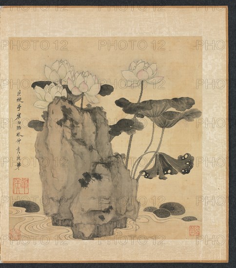 Paintings after Ancient Masters: Lotus and Rocks, 1598-1652. Creator: Chen Hongshou (Chinese, 1598/99-1652).
