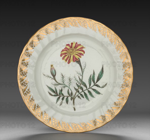 Plate from Dessert Service: French Marigold, c. 1800. Creator: Derby (Crown Derby Period) (British).