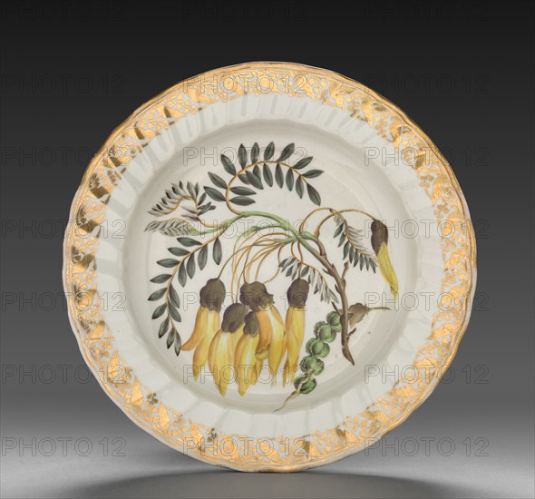 Plate from Dessert Service: Winged Podded Sophora, c. 1800. Creator: Derby (Crown Derby Period) (British).