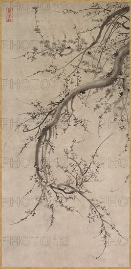 Prunus, 17th century. Creator: Kano Ein? (Japanese, 1631-1697), attributed to.
