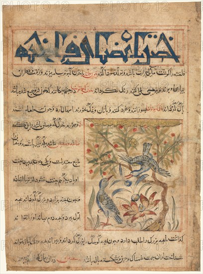 Qualities of Ringdoves (recto) from a Manafi al-Hayawan (On the Usefulness of Animals)?, c. 1300. Creator: Unknown.