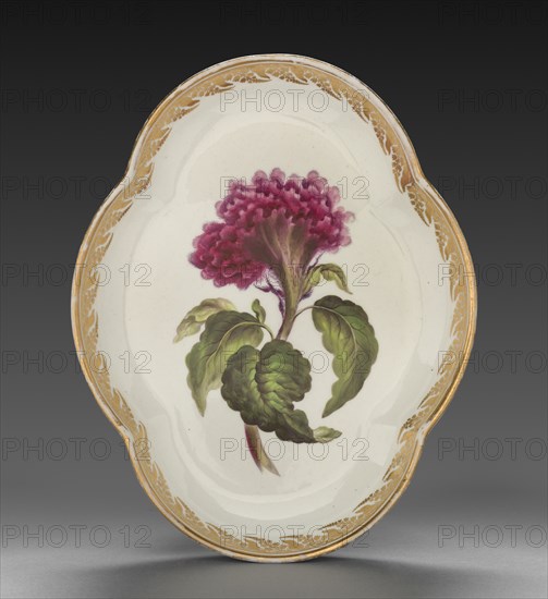 Quatrelobed Dish from Dessert Service: Coxcomb, c. 1800. Creator: Derby (Crown Derby Period) (British).
