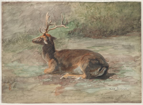 Recumbent Stag, second half 19th century. Creator: Rosa Bonheur (French, 1822-1899).