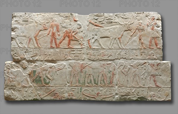 Relief of Agricultural Scenes, c. 2311-2281. Creator: Unknown.