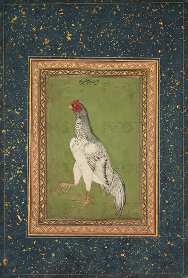 Rooster, c. 1620. Creator: Unknown.