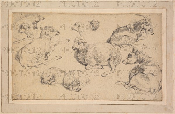 Sheet of Studies with Sheep, Goats, and Dogs, c. 1780. Creator: Jean-Baptiste Marie Hüet (French, 1745-1811).