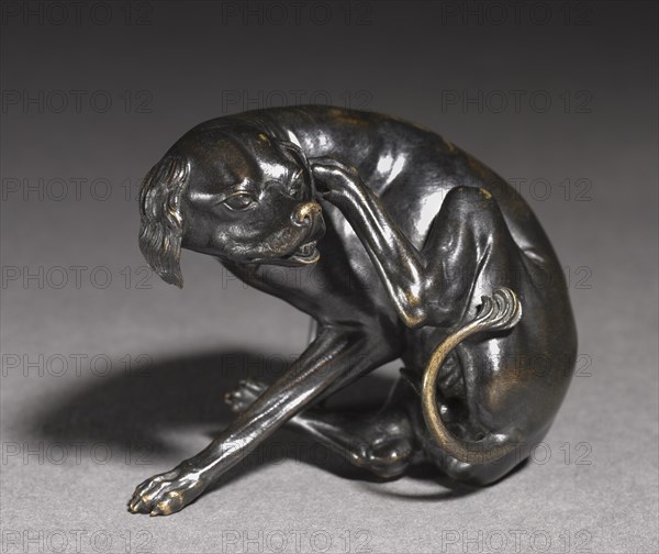 Sitting Dog Scratching Himself, c. 1525-1530. Creator: Unknown.