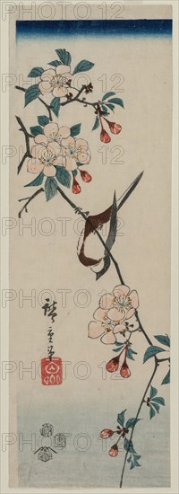 Small Bird (Swallow ?) on Cherry Branch, 1854. Creator: Ando Hiroshige (Japanese, 1797-1858).