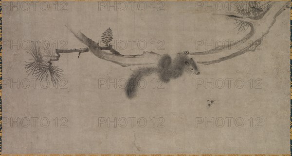 Squirrel on a Pine Branch, 1500s. Creator: Song Tian (Chinese, active 1300s).