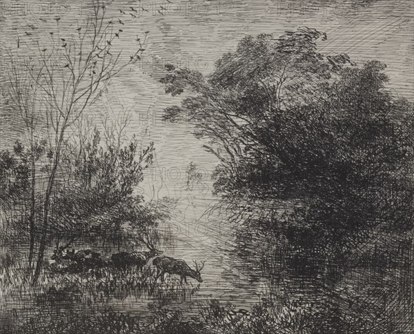 Stags, original impression 1862, printed in 1921. Creator: Charles François Daubigny (French, 1817-1878).