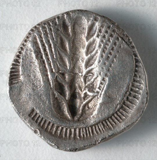 Stater: Ear of Corn incuse [stamped in] (reverse), 530-510 BC. Creator: Unknown.