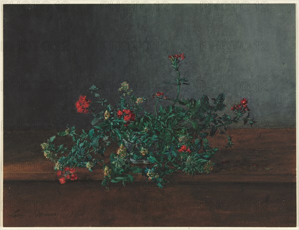 Still Life with Wild Flowers, 1864. Creator: Léon Bonvin (French, 1834-1866).