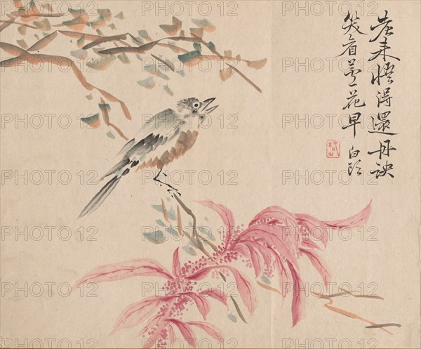 Strawberry Spinach and Nightingale. Creator: Tsubaki Chinzan (Japanese, 1801-1854).