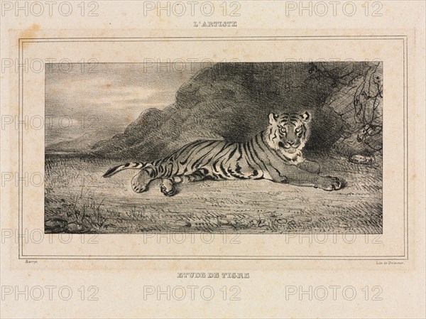 Study of a Tiger, 1832. Creator: Antoine-Louis Barye (French, 1796-1875).