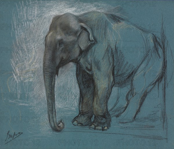 Study of an Elephant. Creator: John Macallan Swan (British, 1847-1910).
