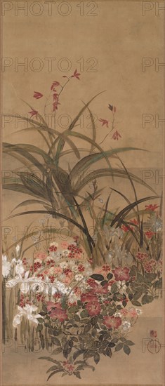 Summer Flowers, mid 1600s. Creator: Kitagawa S?setsu (Japanese, active 1639-50).