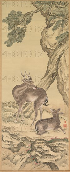 Symbols of Longevity: Deer under Peach and Pine (Peach) (left), 1801. Creator: Toda Tadanaka (Japanese, 1761-1823).