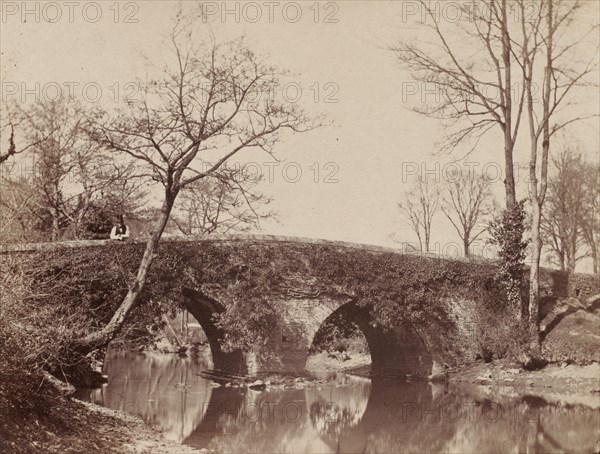 The Country Bridge (Staplylton Bridge, Bristol), c. 1854- 1857. Creator: John Dillwyn Llewelyn (British, 1810-1882).