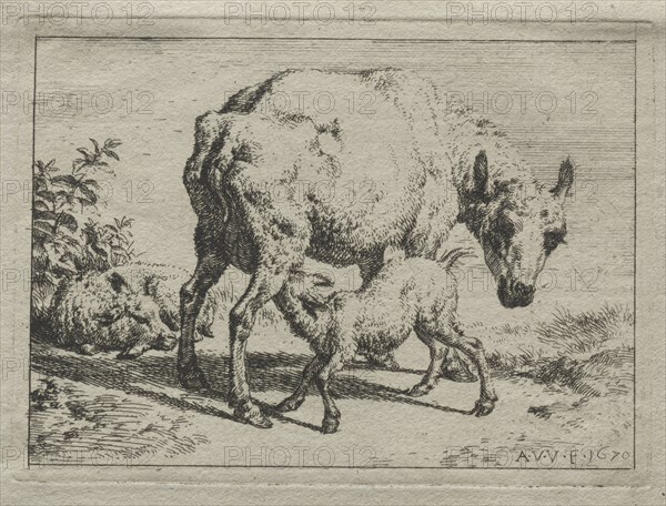 The Ewe and Two Lambs, 1670. Creator: Adriaen van de Velde (Dutch, 1636-1672).