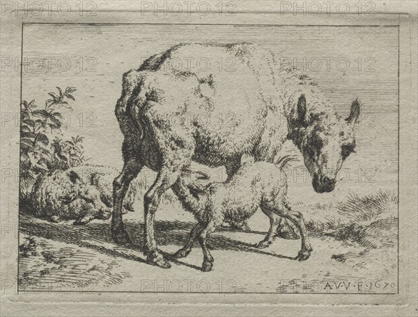The Ewe and Two Lambs, 1670. Creator: Adriaen van de Velde (Dutch, 1636-1672).
