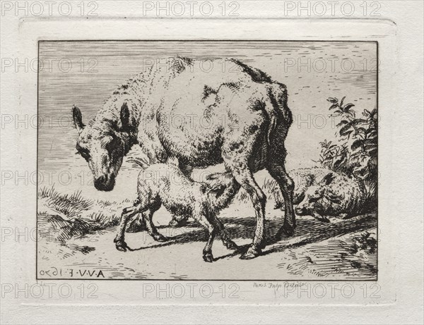 The Ewe with Two Lambs, 1850. Creator: Charles Meryon (French, 1821-1868).