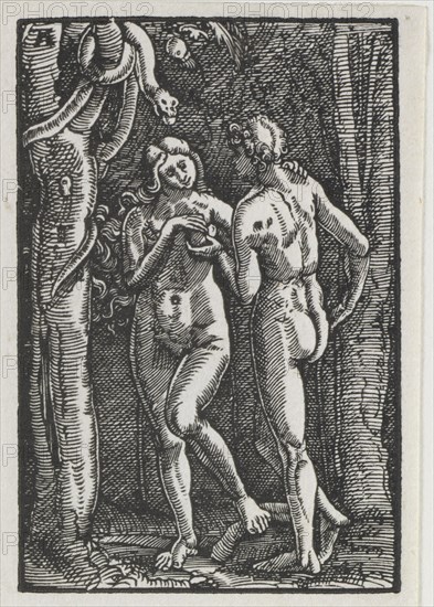 The Fall and Redemption of Man: Adam and Eve Eating the Forbidden Fruit, c. 1513. Creator: Albrecht Altdorfer (German, c. 1480-1538).