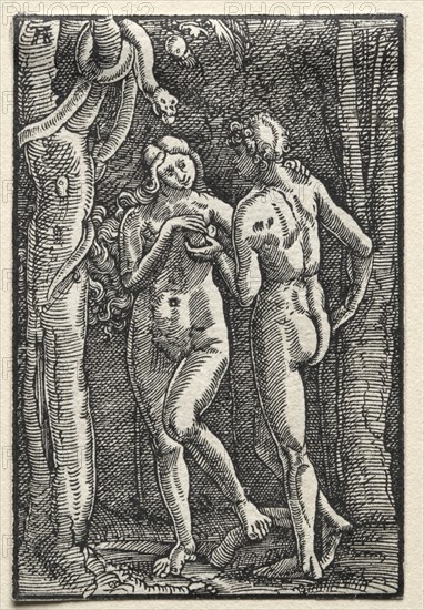 The Fall and Redemption of Man: Adam and Eve Eating the Forbidden Fruit, c. 1515. Creator: Albrecht Altdorfer (German, c. 1480-1538).