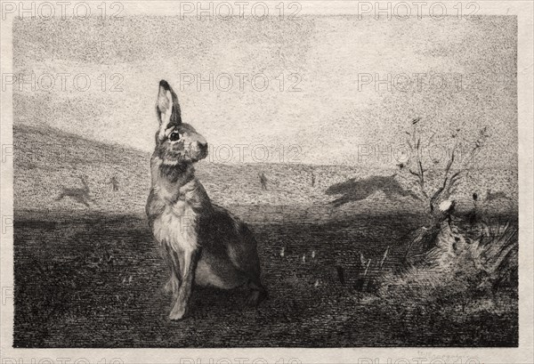 The Hare (after A. de Balleroy), 1865. Creator: Félix Bracquemond (French, 1833-1914).