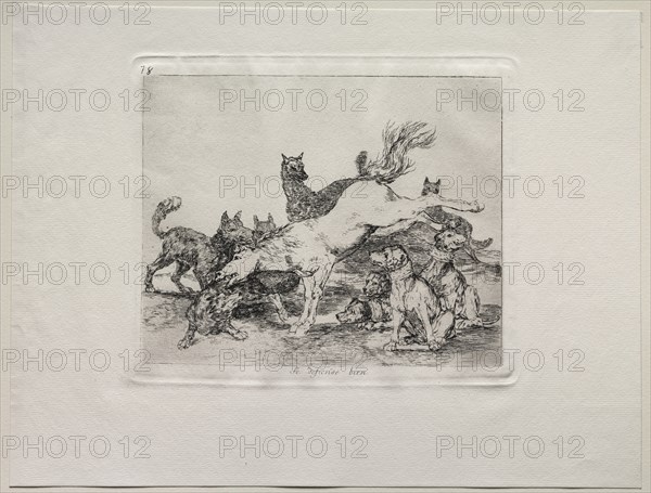 The Horrors of War: He Defends Himself Well. Creator: Francisco de Goya (Spanish, 1746-1828).