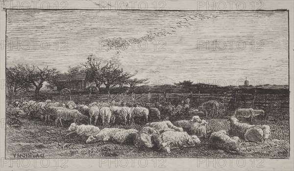 The Large Sheepfold, original impression 1862, printed in 1921. Creator: Charles François Daubigny (French, 1817-1878).