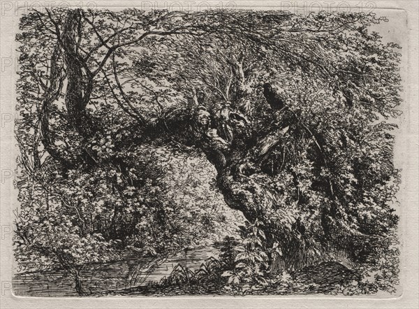 The Old Willow at a Brook, 1794. Creator: Georg von Dillis (German, 1759-1841).