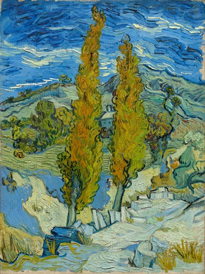 The Poplars at Saint-Rémy, 1889. Creator: Vincent van Gogh (Dutch, 1853-1890).