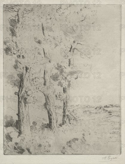 The Reader: The Lecture under the Trees, c. 1882. Creator: Alphonse Legros (French, 1837-1911).