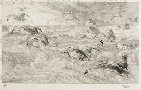 The Seagulls, c. 1880. Creator: Félix Bracquemond (French, 1833-1914).