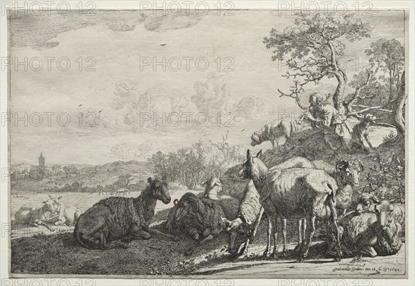 The Shepherd, 1644. Creator: Paulus Potter (Dutch, 1625-1654).