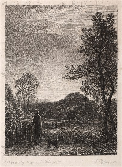 The Skylark, 1850. Creator: Samuel Palmer (British, 1805-1881).