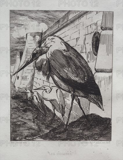 The Storks, 1865. Creator: Félix Bracquemond (French, 1833-1914); Cadart & Luquet, Paris.