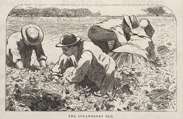 The Strawberry Bed, 1868. Creator: Winslow Homer (American, 1836-1910).