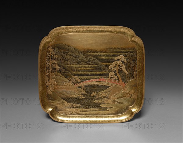 Tray, late 1800s. Creator: Unknown.